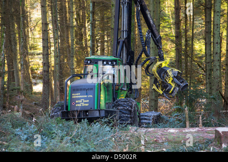 Un transitaire la récolte du bois en forêt Grizedale, Lake District, UK. Banque D'Images