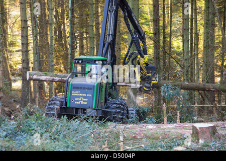 Un transitaire la récolte du bois en forêt Grizedale, Lake District, UK. Banque D'Images