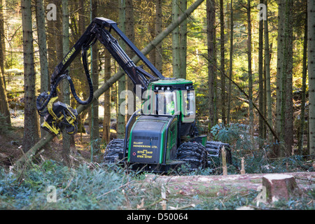 Un transitaire la récolte du bois en forêt Grizedale, Lake District, UK. Banque D'Images