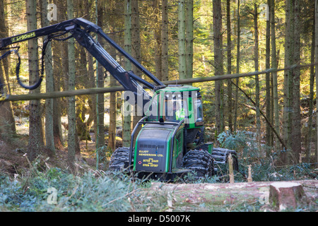 Un transitaire la récolte du bois en forêt Grizedale, Lake District, UK. Banque D'Images