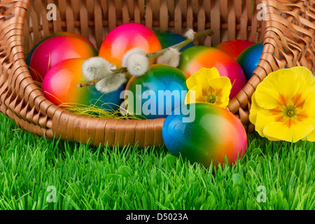 Oeufs de Pâques en panier en osier sur l'herbe verte Banque D'Images