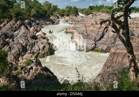 La Li Phi Cascades dans le Mékong sur Don Khone Island, Laos Banque D'Images