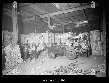 En juillet 1937, Lewis Hine captura des débardeurs chargeant des balles de papier de rebut dans l'entrepôt de la Bush terminal Company à New York. Cette image fait partie de la série de portraits de travail de la Works Progress Administration pendant la Grande dépression. Banque D'Images