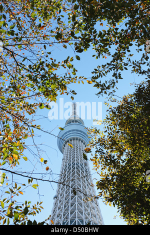 Tokyo Sky Tree Banque D'Images