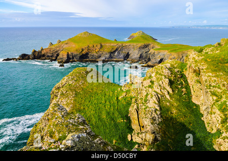 Point sur les croupions Pentire pointe près de Polzeath, Cornwall, Angleterre. Banque D'Images