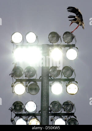 (Dossier) - Un fichier photo dpa en date du 21 mai 2005 montre à des projecteurs d'un stade de soccer à Freiburg, Allemagne. Photo : Uli Deck Banque D'Images
