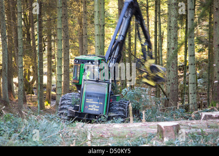 Un transitaire la récolte du bois en forêt Grizedale, Lake District, UK. Banque D'Images