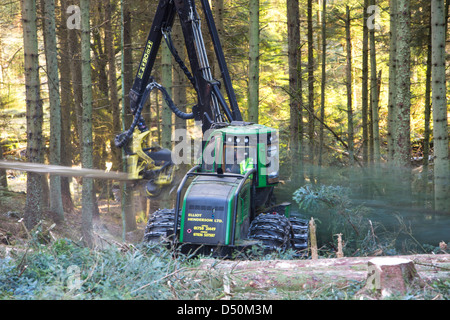 Un transitaire la récolte du bois en forêt Grizedale, Lake District, UK. Banque D'Images