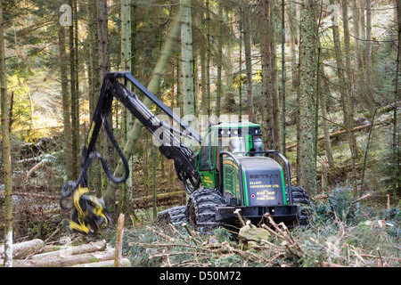 Un transitaire la récolte du bois en forêt Grizedale, Lake District, UK. Banque D'Images