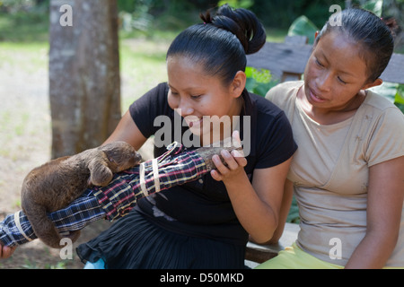 Les villageois amérindiens avec un bébé orphelin deux-toed Sloth (Choloepus didactylus). Étant élevés. Atta. Iwokrama. La Guyana. Banque D'Images