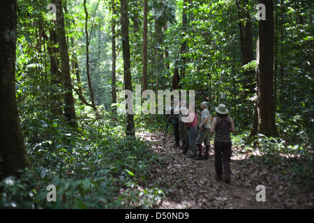 Les éco-touristes autour de Iwokrama International Centre for Rainforest Conservation, Atta Rainforest Lodge. La Guyana. Banque D'Images