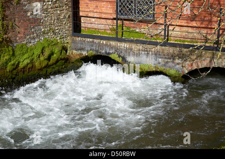 L'eau qui coule à travers lower mill race, Ville Moulin, Winchester, Hampshire, Angleterre, NT conservés moulin à eau vu à partir de la voie publique. Banque D'Images