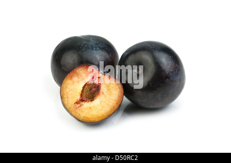 Deux plum isolated on white Banque D'Images