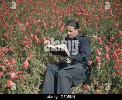 Le commandant de l'escadre Guy Gibson VC, Commandant de l'escadron no 617 (les briseurs de barrages) à Scampton, 22 juillet 1943. Banque D'Images