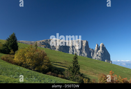 Compatsch, Italie, donnant sur la Schlernmassiv Banque D'Images