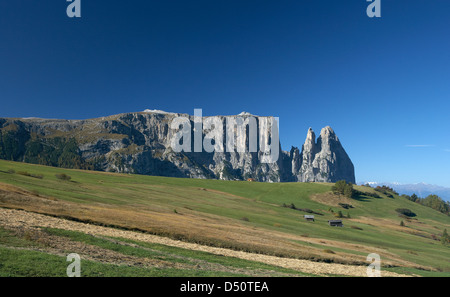 Compatsch, Italie, donnant sur la Schlernmassiv Banque D'Images