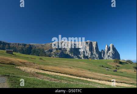 Compatsch, Italie, donnant sur la Schlernmassiv Banque D'Images