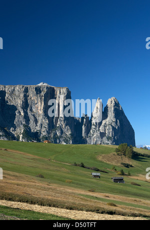 Compatsch, Italie, donnant sur la Schlernmassiv Banque D'Images