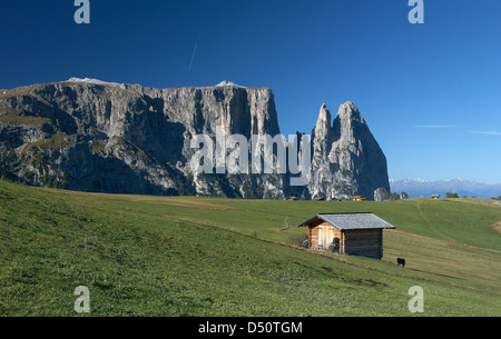 Compatsch, Italie, donnant sur la Schlernmassiv Banque D'Images