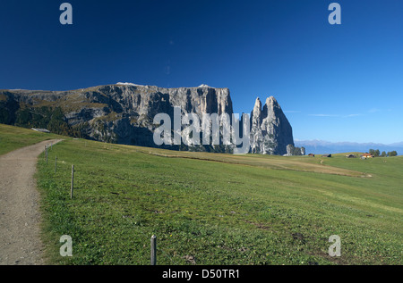 Compatsch, Italie, donnant sur la Schlernmassiv Banque D'Images