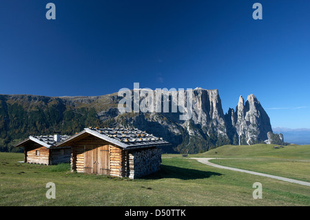 Compatsch, Italie, donnant sur la Schlernmassiv Banque D'Images