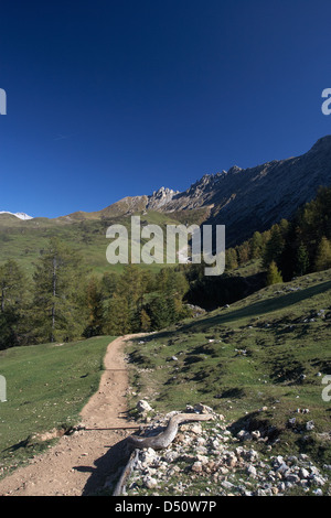 Compatsch, Italie, tourisme a pied dans un affluent de l''Alpe di Siusi Banque D'Images