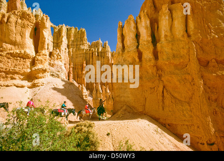 Nord;l'Utah, Bryce Canyon, parc national, les personnes voyageant sur des chevaux de montagnes Banque D'Images