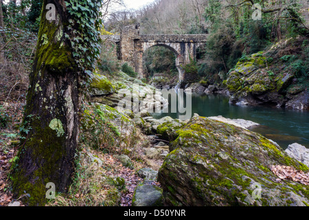 Le Pont du Diable à travers l'Ariège, Pyrénées françaises, la France avec arbre couvert de lierre Banque D'Images