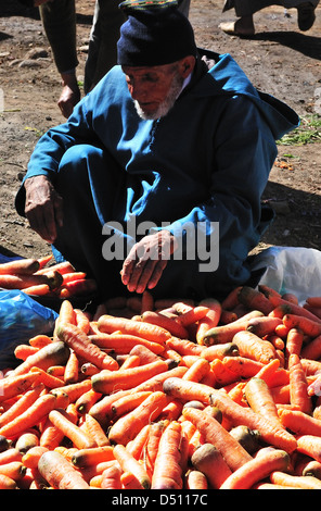 Ventes des agriculteurs les carottes les jours de marché à Jemaa D' Rehmat , Maroc Banque D'Images