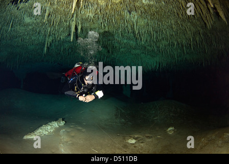 L'exploration de caverne Nohoch plongeur spéléo dans la péninsule du Yucatan, Mexique Banque D'Images