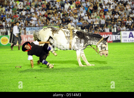 Jésus Maria, Argentine, rider tombe de son cheval Banque D'Images