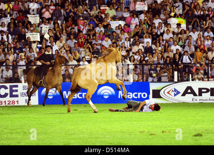 Jésus Maria, Argentine, rider est tombé de son cheval Banque D'Images