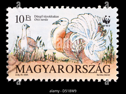 Timbre-poste de Hongrie représentant une grande outarde (Otis tarda) Banque D'Images