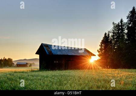 Coucher de soleil derrière grange en champ, Bollnäs, Hälsingland, Suède, Europe Banque D'Images