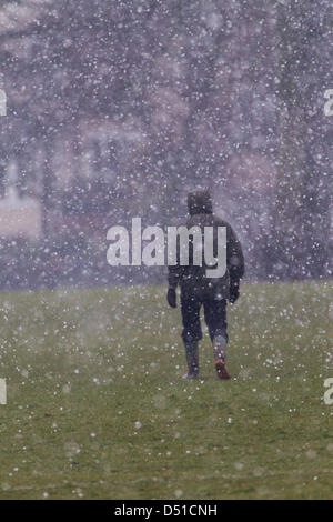 Abington Park Northampton UK. 22 mars 2013. Tôt le matin, la pluie, le grésil et la neige dans la région de Abington Park Northampton UK en tant que propriétaires à pied leurs chiens. Credit : Keith J Smith/Alamy Live News Banque D'Images