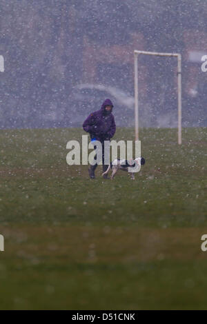 Abington Park Northampton UK. 22 mars 2013. Tôt le matin, la pluie, le grésil et la neige dans la région de Abington Park Northampton UK en tant que propriétaires à pied leurs chiens. Credit : Keith J Smith/Alamy Live News Banque D'Images