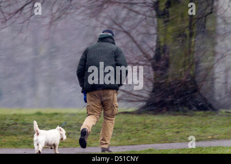 Abington Park Northampton UK. 22 mars 2013. Tôt le matin, la pluie, le grésil et la neige dans la région de Abington Park Northampton UK en tant que propriétaires à pied leurs chiens. Credit : Keith J Smith/Alamy Live News Banque D'Images