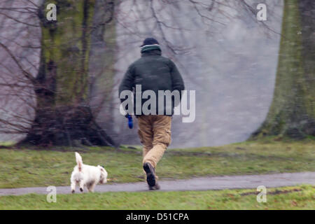 Abington Park Northampton UK. 22 mars 2013. Tôt le matin, la pluie, le grésil et la neige dans la région de Abington Park Northampton UK en tant que propriétaires à pied leurs chiens. Credit : Keith J Smith/Alamy Live News Banque D'Images