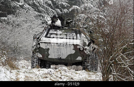 Un soldat de la Brigade franco-allemande est représenté sur un transporteur de troupes du type 'Fuchs' avec une mitraillette à la zone d'entraînement militaire de Baumholder, Allemagne, le 30 novembre 2010. La Brigade franco-allemande est composée de 5900 soldats de l'Allemagne et la France. Le 10 décembre 2010, un nouveau bataillon est mis en service en Illkirchen près de Strasbourg. Avec ce bataillon, le premier Germa Banque D'Images