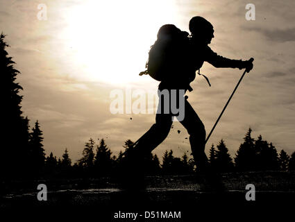 Un cross-country skier skies le long de la piste de ski03 suis loipe près de Breitnau, Allemagne, 27 décembre 2010. Photo : Patrick Seeger Banque D'Images