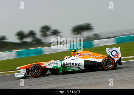 Sport Automobile : Championnat du Monde de Formule 1 de la FIA 2013, Grand Prix de Malaisie, # 15 Adrian Sutil (GER, Sahara Force India F1 Team), Banque D'Images