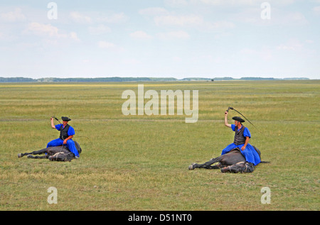 Exposition de chevaux de gulyas (bergers traditionnels / cow-boys) à cheval de chevaux hongrois. Parc national de Hortobágy, Hongrie Banque D'Images