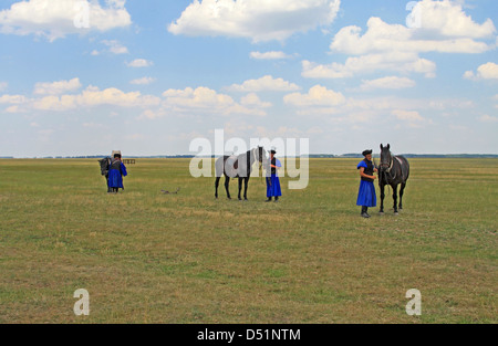 Exposition de chevaux de gulyas (bergers traditionnels / cow-boys) à cheval de chevaux hongrois. Parc national de Hortobágy, Hongrie Banque D'Images