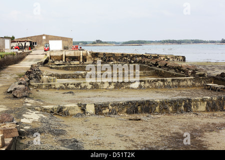 Oyster Bed par une lagune côtière près de Locmariaquer, dans le Golfe du Morbihan, Bretagne, France, septembre 2012 Banque D'Images