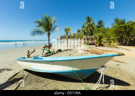 Voile sur la plage bordée de palmiers, à ce resort & village, Samara, Province de Guanacaste, Péninsule de Nicoya, Costa Rica Banque D'Images