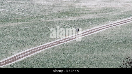 Ein Mann geht am Donnerstag (du 21.10.2010) Haibach (Niederbayern nahe) mit seinem Hund auf einem leicht mit Schnee bedeckten Weg. Dans den höheren Lagen des Bayerischen Waldes herrscht derzeit Winterwetter. Foto : Armin Weigel dpa/lby Banque D'Images