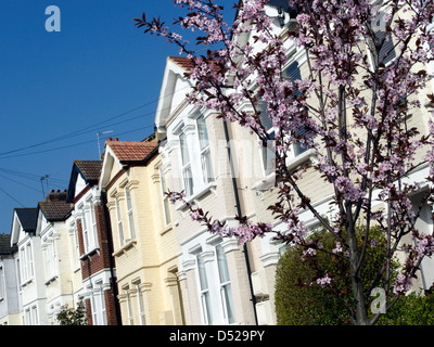 United Kingdom West London berrymead jardins au printemps Banque D'Images