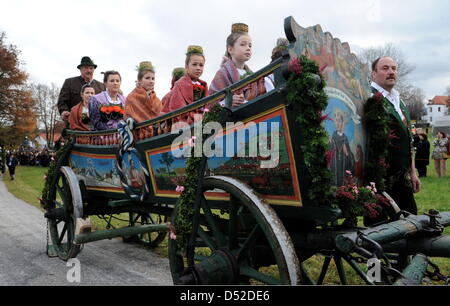 Les filles habillées en gerbes de s'asseoir sur un cheval de chariot décoré lors de la traditionnelle Leonhardi-ride (Leonhardifahrt) au Kalvarienberg dans Bad Toelz, Allemagne, 06 novembre 2010. Le trajet traditionnel a lieu dans de nombreuses villes de Bavière pour honorer le patron des animaux de ferme. Photo : Tobias Hase Banque D'Images