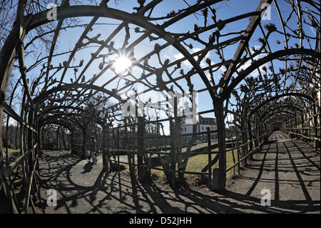 Shadowplay dans le jardins du palais Eisenberg, Allemagne, 03 mars 2010. L'église du château construit entre 1679 et 1687 est vu dans l'arrière-plan. Le jardin d'agrément de style français a été mis en place dans le 18e siècle. Eisenberg est la plus grande ville du District Saale-Holzland-dans l'Est de l'Thurinigia compte quelques 12.000 habitants. Photo : Jan-Peter Kasper Banque D'Images