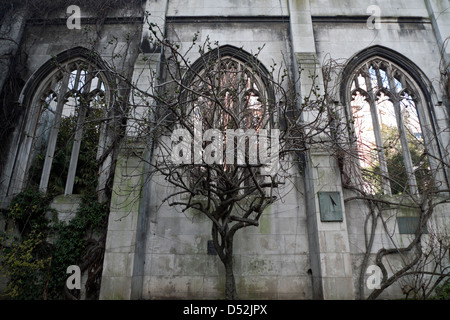 Fig Tree et cadran solaire à St Dunstan dans l'église et le jardin de l'Est Ville de London England UK Banque D'Images